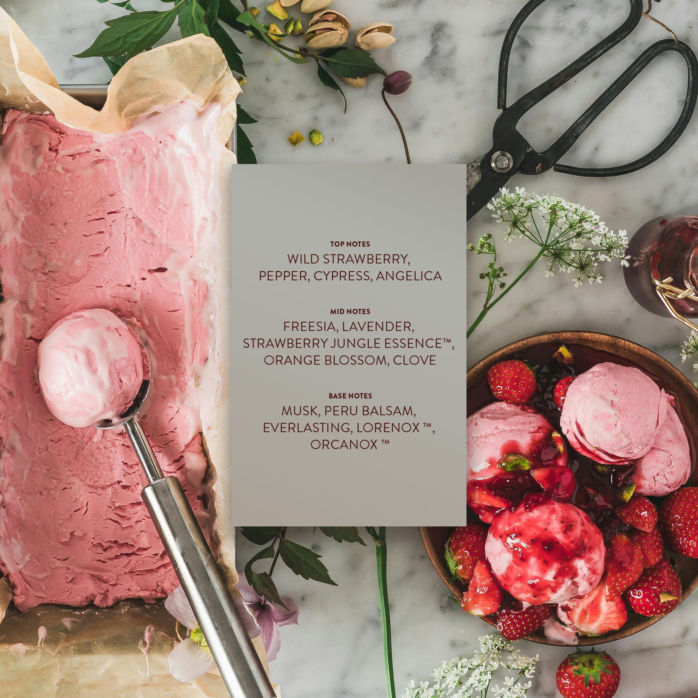 Berry+Blanche