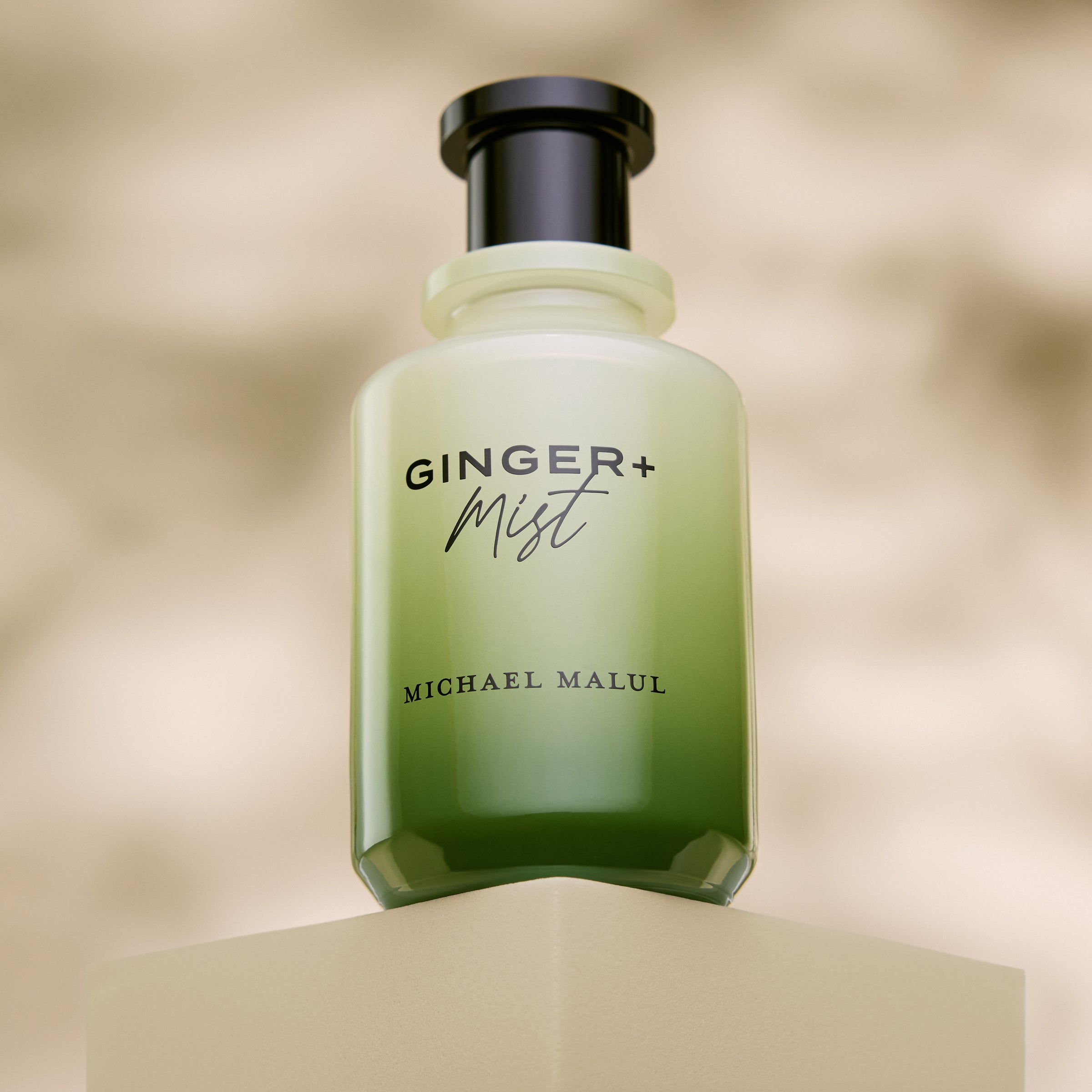 Ginger+Mist