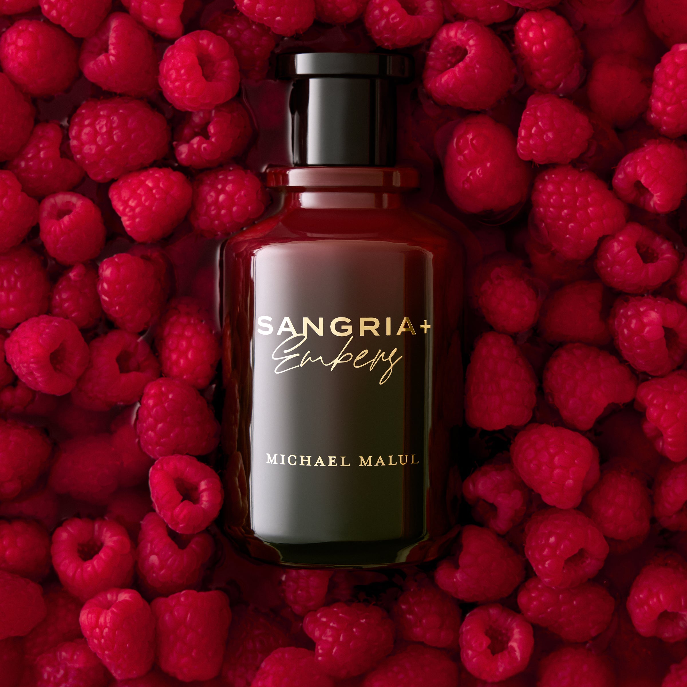 Sangria+Embers