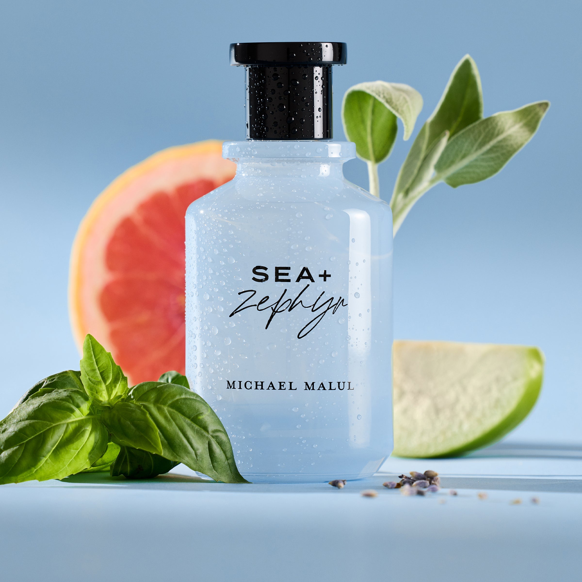 Sea+Zephyr