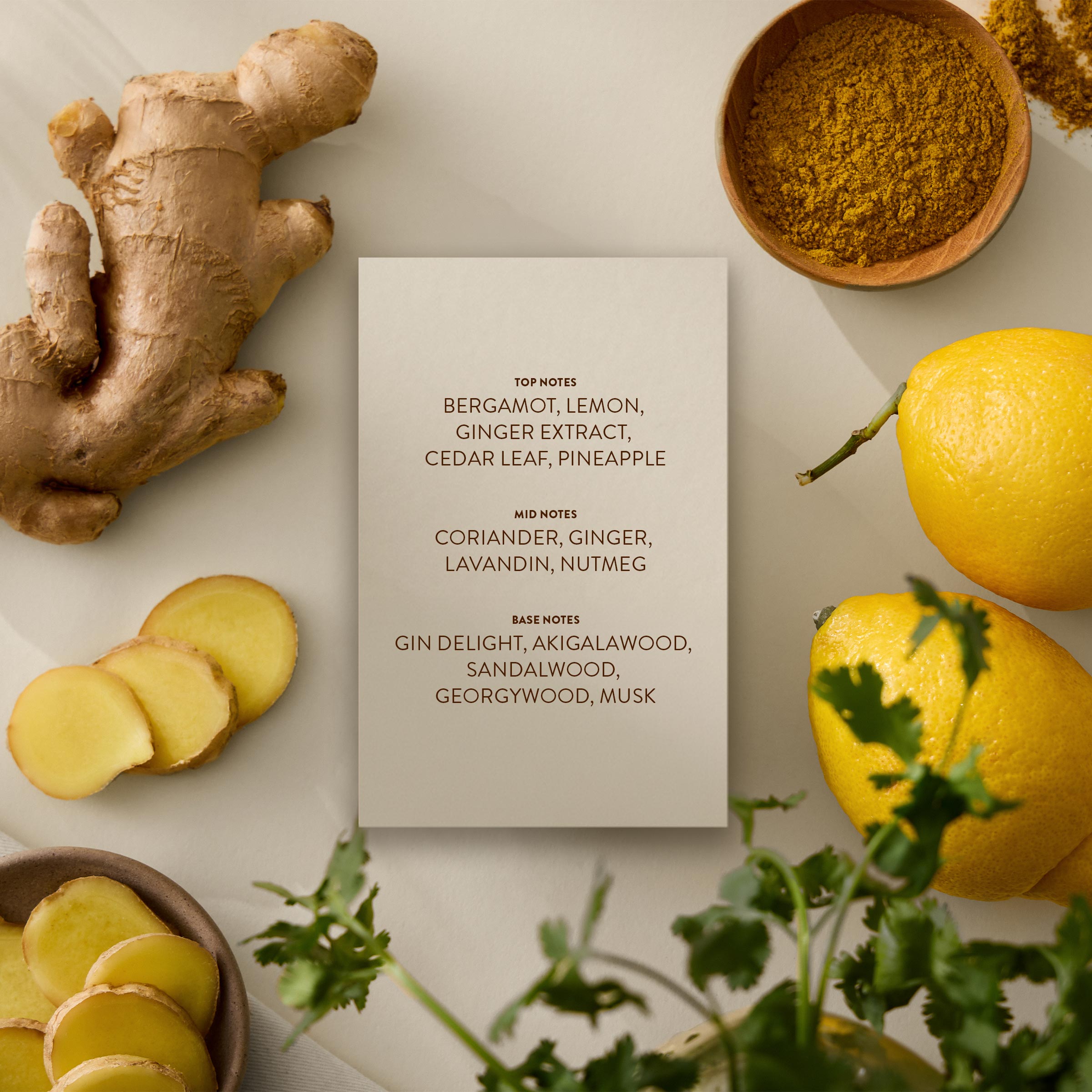 Ginger+Mist