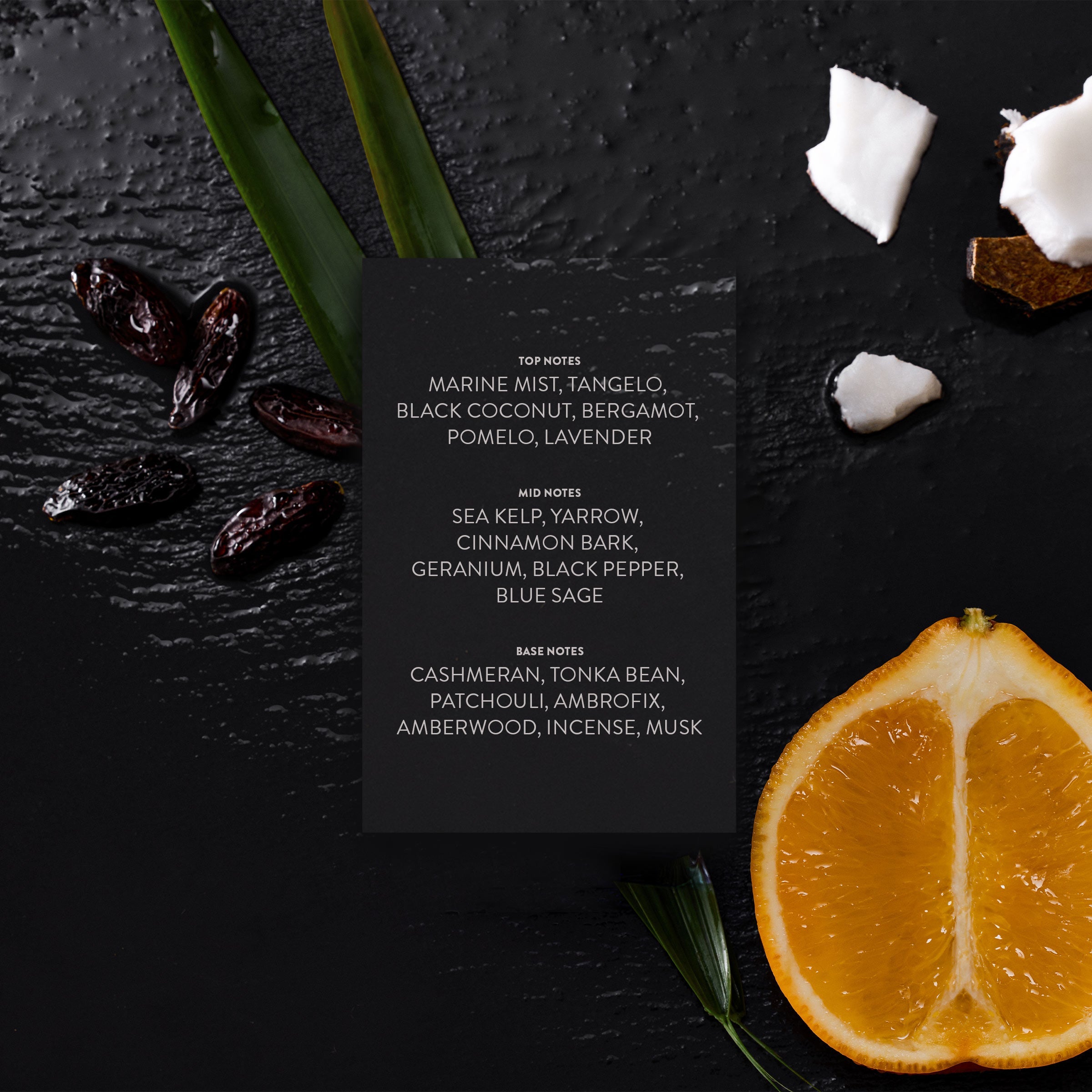 Ocean Noir Parfum