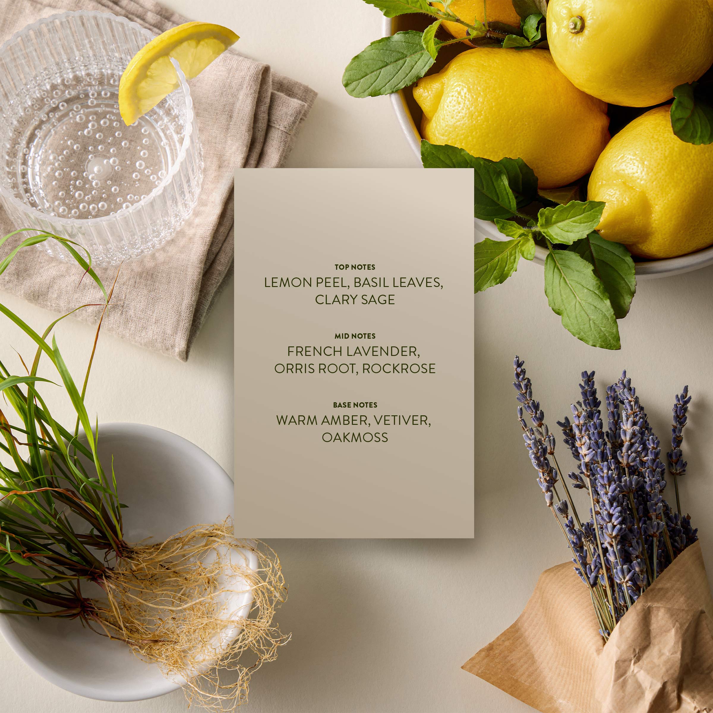 Zest+Vetiver