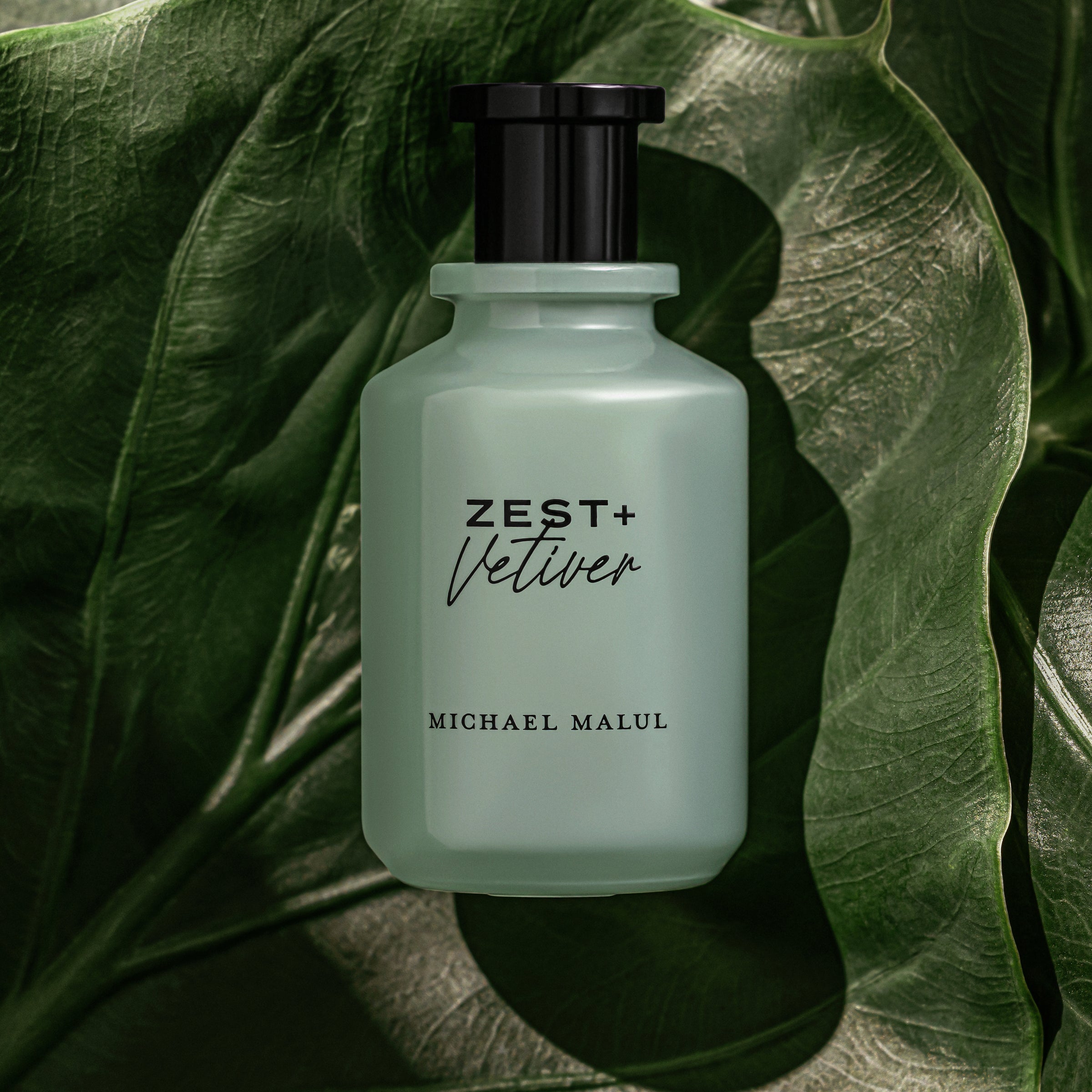 Zest+Vetiver